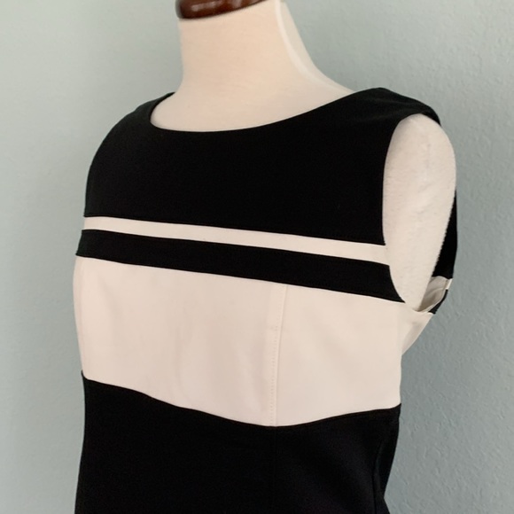 WHBM Perfect Form Dress - Picture 8 of 14